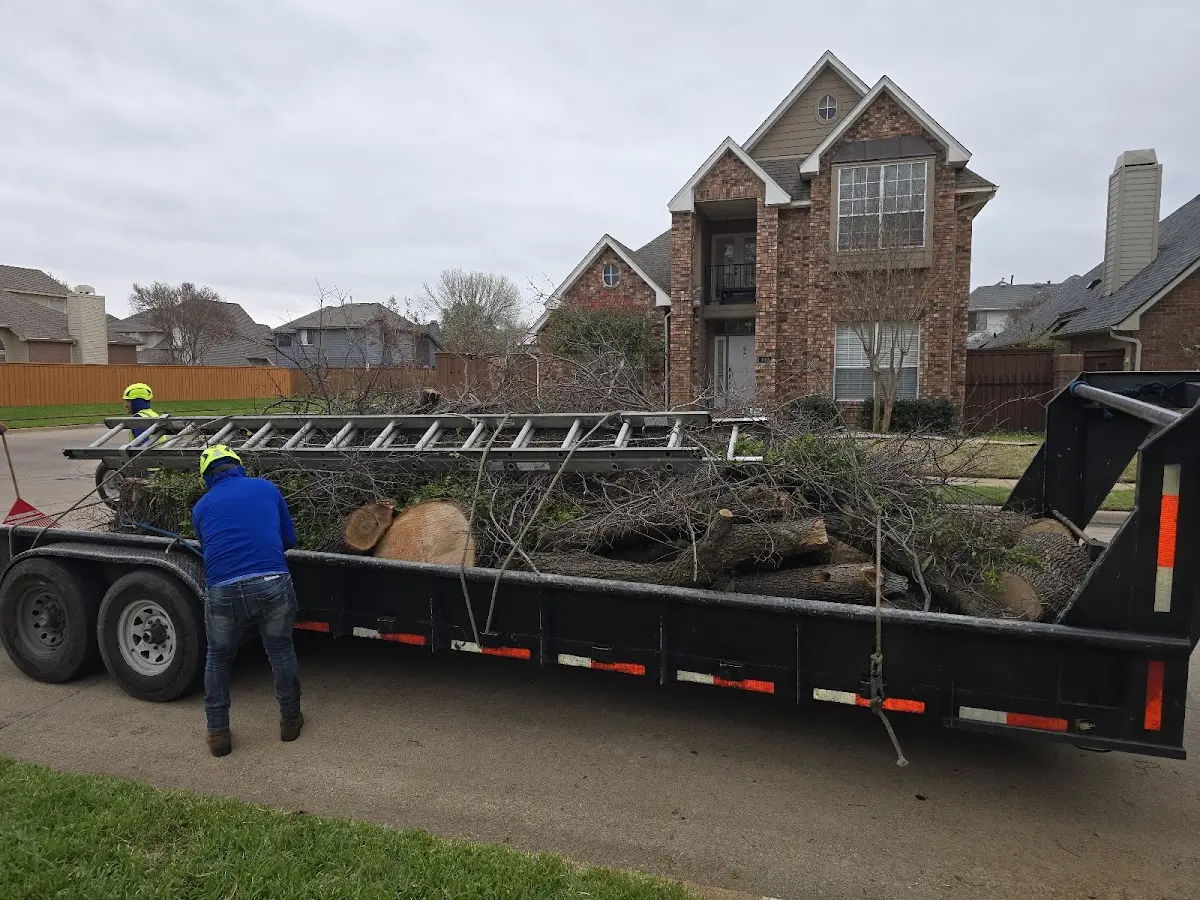 Expert Lot Clearing with proper safety equipment in Cole Camp
